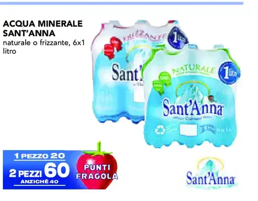 Acqua minerale Sant'Anna 6x1 litro