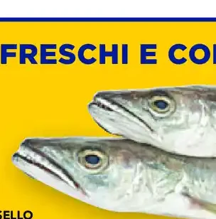 Polpettone di salmone ai broccoli