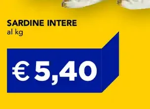 Sardine intere