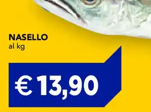 Nasello