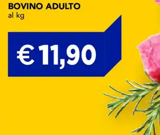 Spezzatino di bovino adulto