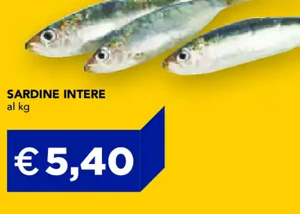 Sardine intere