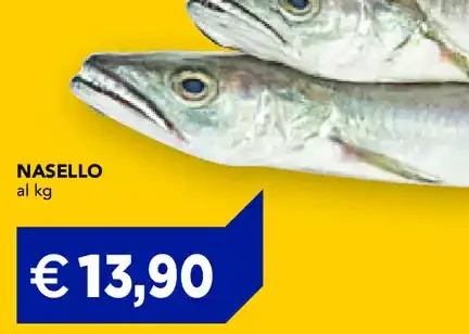 Nasello