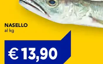 Nasello