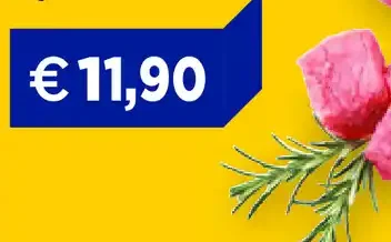 Spezzatino di bovino adulto