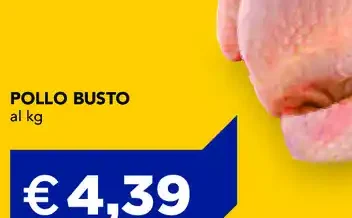 Pollo busto