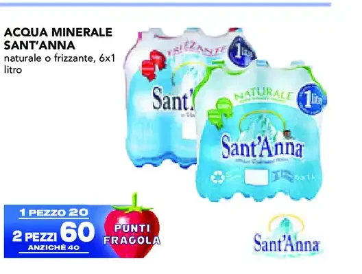 Acqua minerale Sant'Anna 6x1 litro