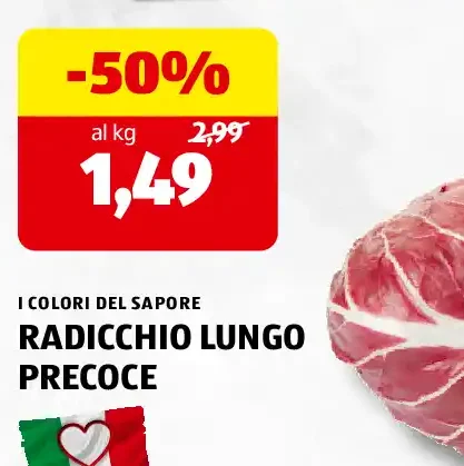 Radicchio lungo precoce