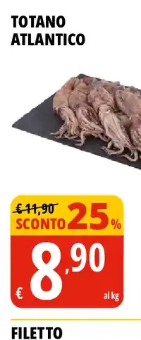 Totano atlantico