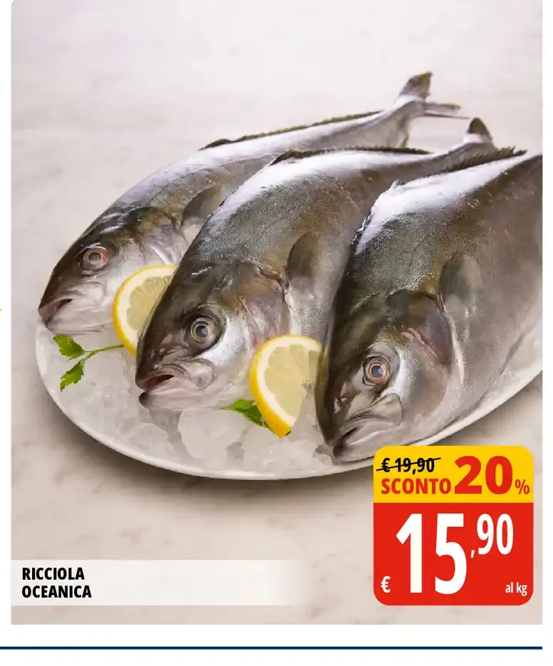 Ricciola oceanica