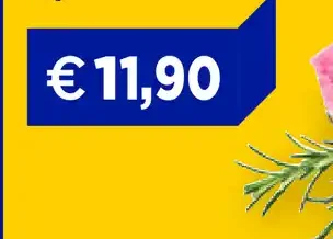 Spezzatino di bovino adulto