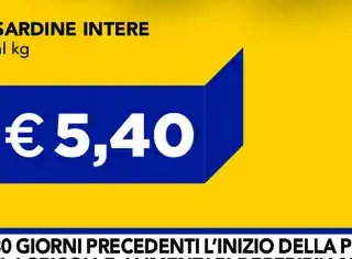 Sardine intere