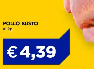 Pollo busto