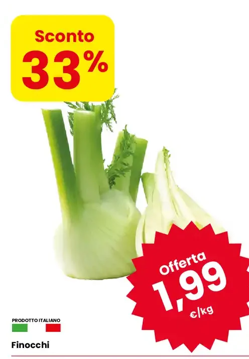 Finocchi
