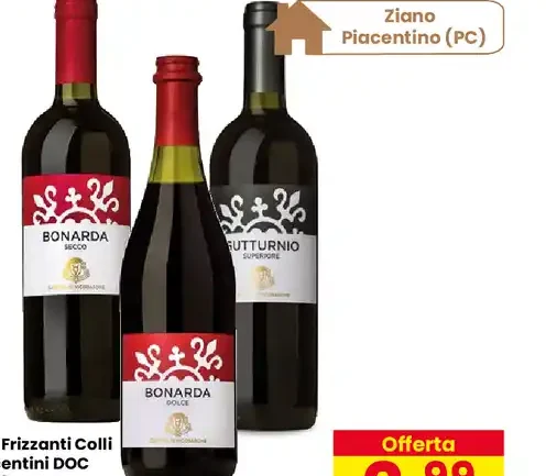 Vini frizzanti Colli Piacentini DOC