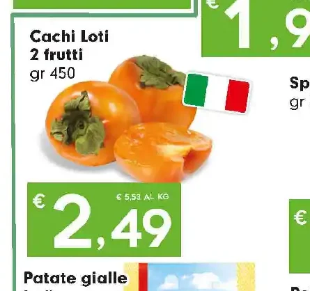 Cachi Loti
