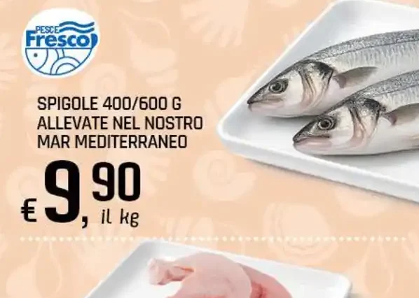 Spigoli allevate nel nostro mar Mediterraneo