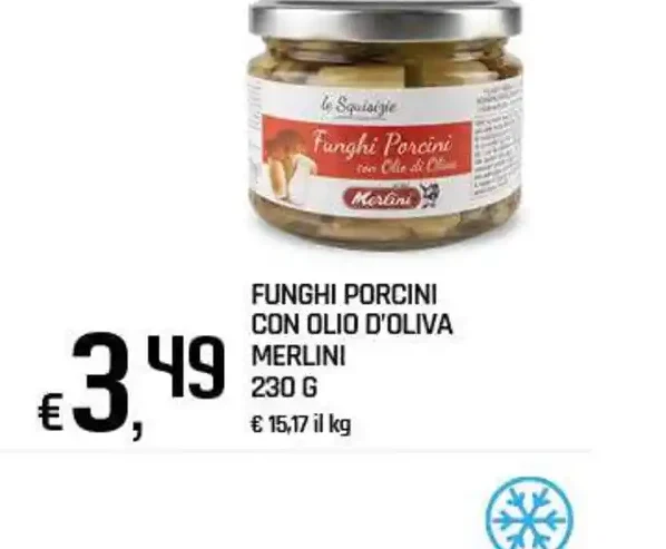 Funghi porcini con olio d'oliva Merlini