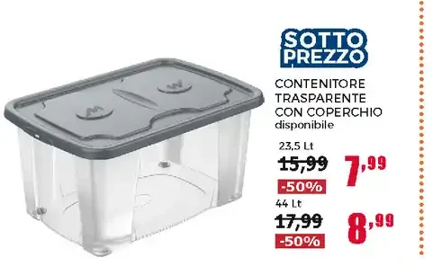 Contenitore trasparente con coperchio