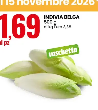 Indivia belga
