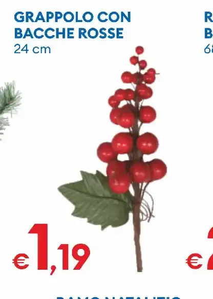 Grappolo con bacche rosse