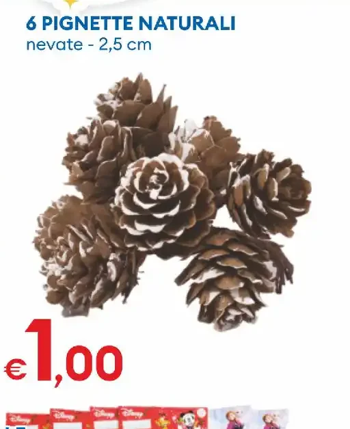 Pignette naturali nevate